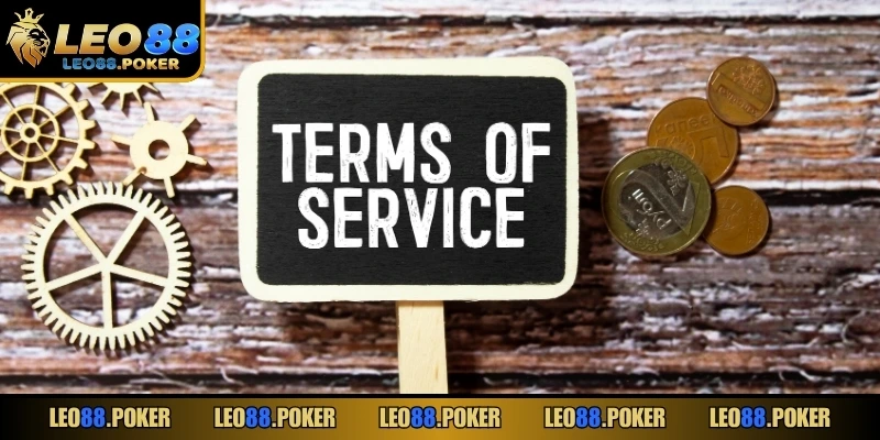 Hướng dẫn tham gia để tìm hiểu về chính sách